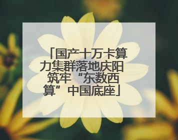 国产十万卡算力集群落地庆阳 筑牢“东数西算”中国底座