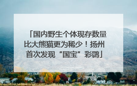 国内野生个体现存数量比大熊猫更为稀少！扬州首次发现“国宝”彩鹮