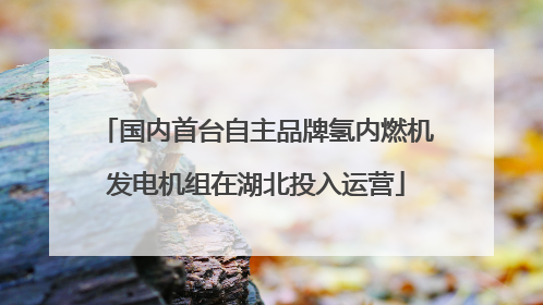 国内首台自主品牌氢内燃机发电机组在湖北投入运营
