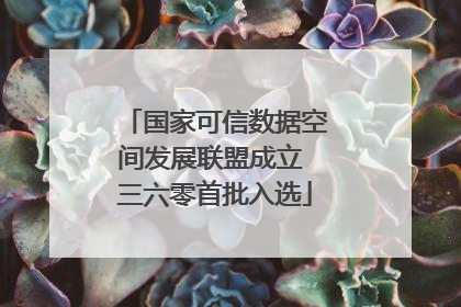 国家可信数据空间发展联盟成立 三六零首批入选