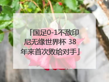 国足0-1不敌印尼无缘世界杯 38年来首次败给对手