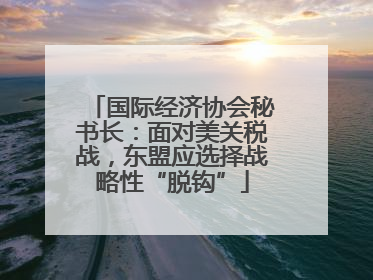 国际经济协会秘书长：面对美关税战，东盟应选择战略性“脱钩”