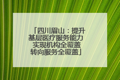 四川眉山：提升基层医疗服务能力 实现机构全覆盖转向服务全覆盖