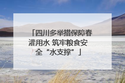 四川多举措保障春灌用水 筑牢粮食安全“水支撑”