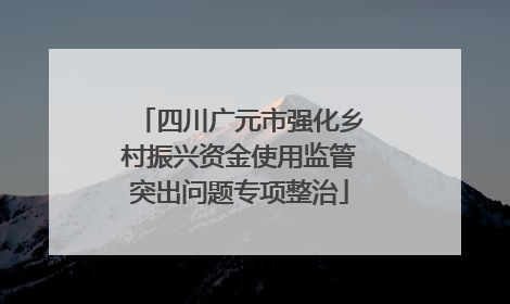四川广元市强化乡村振兴资金使用监管突出问题专项整治