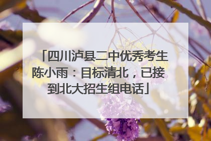 四川泸县二中优秀考生陈小雨：目标清北，已接到北大招生组电话