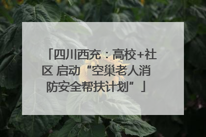 四川西充：高校+社区 启动“空巢老人消防安全帮扶计划”