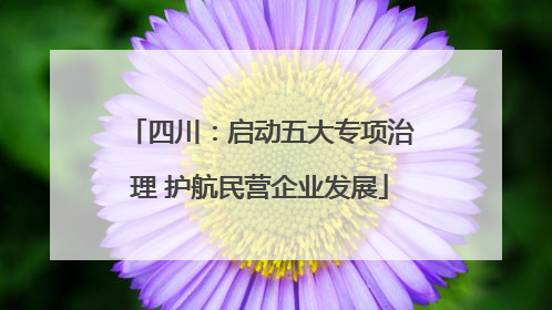 四川：启动五大专项治理 护航民营企业发展