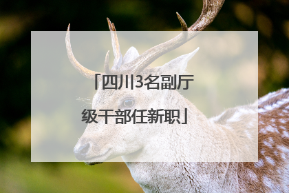 四川3名副厅级干部任新职