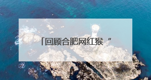 回顾合肥网红猴“大壮”最后的时光