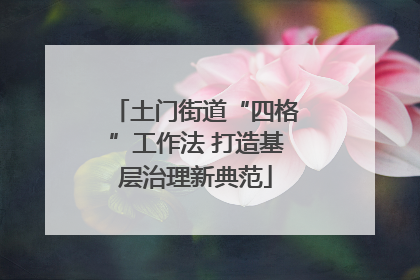 土门街道“四格”工作法 打造基层治理新典范