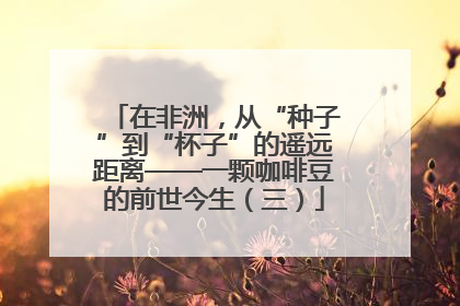 在非洲，从“种子”到“杯子”的遥远距离——一颗咖啡豆的前世今生（三）