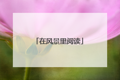 在风景里阅读