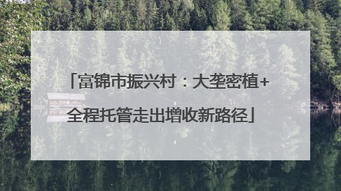 富锦市振兴村：大垄密植+全程托管走出增收新路径