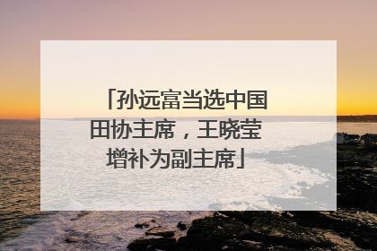 孙远富当选中国田协主席，王晓莹增补为副主席