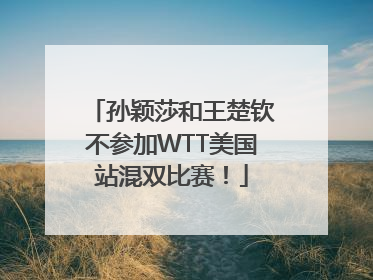 孙颖莎和王楚钦不参加WTT美国站混双比赛！