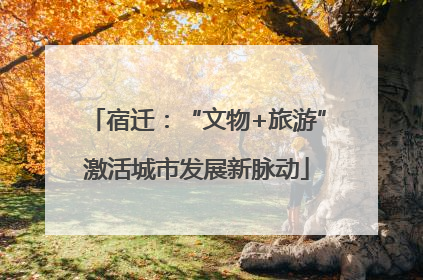 宿迁：“文物+旅游”激活城市发展新脉动