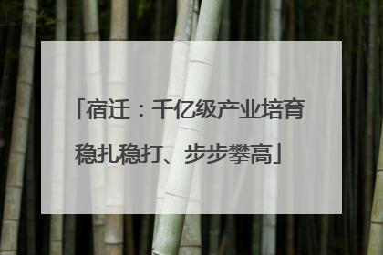 宿迁：千亿级产业培育稳扎稳打、步步攀高