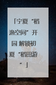 宁夏“稻渔空间”开园 解锁初夏“稻田游”