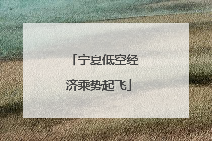 宁夏低空经济乘势起飞