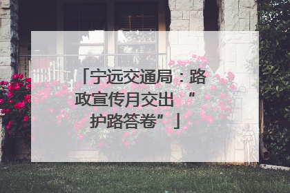 宁远交通局：路政宣传月交出 “护路答卷”
