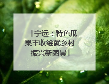 宁远：特色瓜果丰收绘就乡村振兴新图景