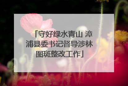 守好绿水青山 漳浦县委书记督导涉林图斑整改工作