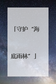 守护“海底雨林”