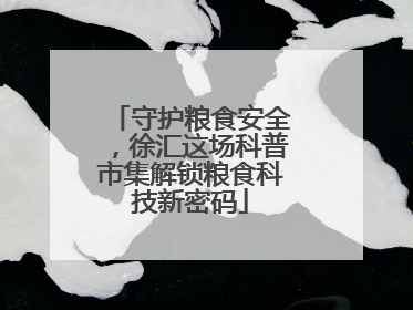 守护粮食安全，徐汇这场科普市集解锁粮食科技新密码