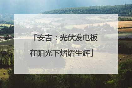 安吉：光伏发电板在阳光下熠熠生辉