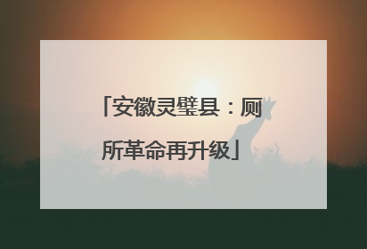 安徽灵璧县：厕所革命再升级
