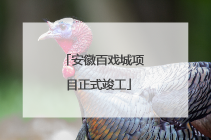 安徽百戏城项目正式竣工