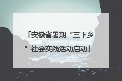 安徽省暑期“三下乡”社会实践活动启动