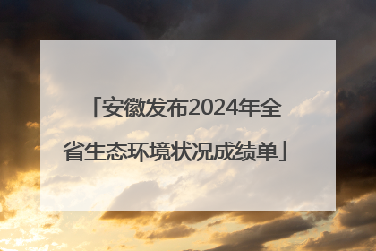 安徽发布2024年全省生态环境状况成绩单