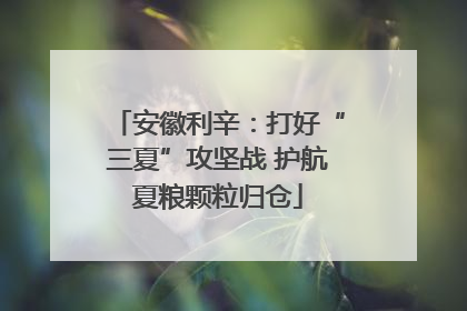 安徽利辛：打好“三夏”攻坚战 护航夏粮颗粒归仓