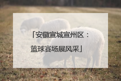 安徽宣城宣州区：篮球赛场展风采