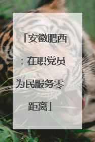 安徽肥西：在职党员为民服务零距离
