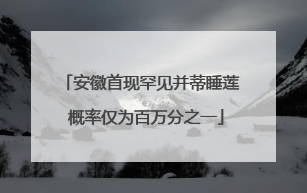 安徽首现罕见并蒂睡莲 概率仅为百万分之一