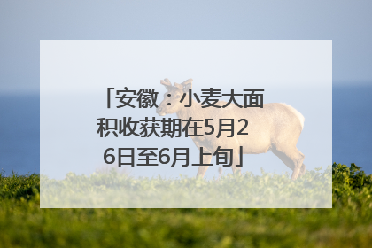 安徽：小麦大面积收获期在5月26日至6月上旬