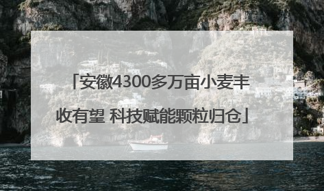 安徽4300多万亩小麦丰收有望 科技赋能颗粒归仓