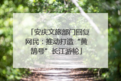 安庆文旅部门回复网民：推动打造“黄鹄号”长江游轮