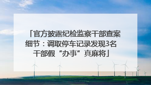 官方披露纪检监察干部查案细节：调取停车记录发现3名干部假“办事”真麻将