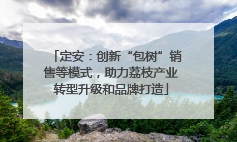 定安：创新“包树”销售等模式，助力荔枝产业转型升级和品牌打造