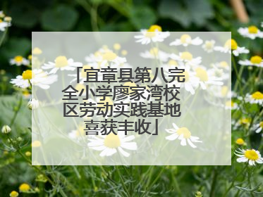 宜章县第八完全小学廖家湾校区劳动实践基地喜获丰收
