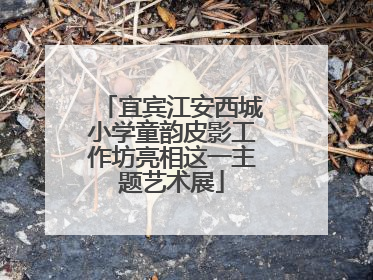 宜宾江安西城小学童韵皮影工作坊亮相这一主题艺术展
