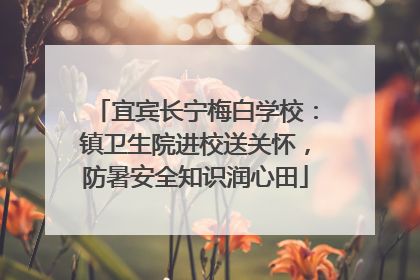 宜宾长宁梅白学校：镇卫生院进校送关怀，防暑安全知识润心田