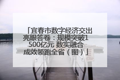 宜春市数字经济交出亮眼答卷：规模突破1500亿元 数实融合成效领跑全省（图）