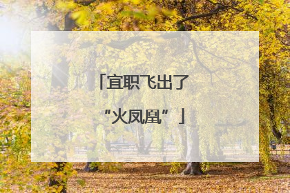 宜职飞出了“火凤凰”