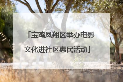 宝鸡凤翔区举办电影文化进社区惠民活动