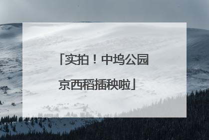 实拍！中坞公园京西稻插秧啦